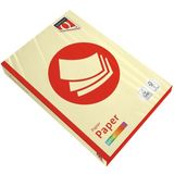 Kopieerpapier Quantore Colour A4 160gr kanariegeel 250 vel