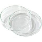 Petrischaal glas met deksel 15 x 60mm
