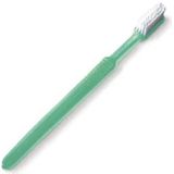 Wegwerp tandenborstels met tandpasta Groen 100 stuks