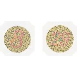 Ishihara kleurenblindheid test boek met 14 testkaarten