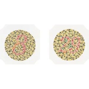 Ishihara kleurenblindheid test boek met 14 testkaarten