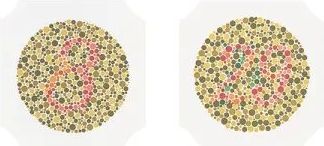 Ishihara kleurenblindheid test boek met 14 testkaarten
