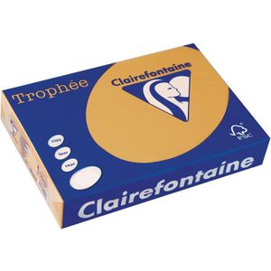 Clairefontaine Trophée Pastel, gekleurd papier, A4, 160 g, 250 vel, mokkabruin