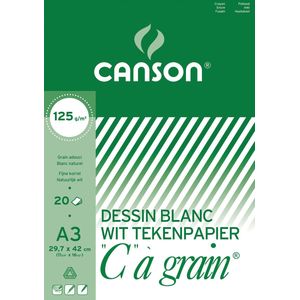 Canson tekenblok C à grain 125 g/m², ft 29,7 x 42 cm (A3)