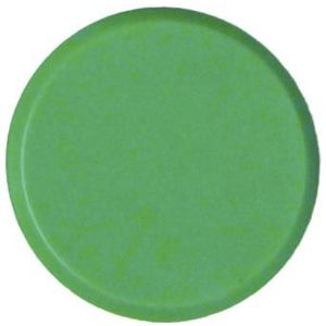 Bouhon magneten, 20 mm, groen, pak van 10 stuks