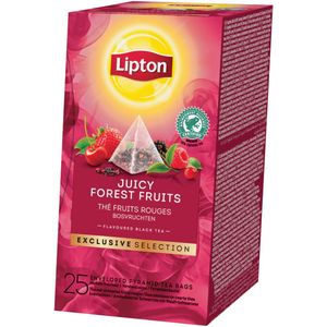 Lipton thee, Bosvruchten, Exclusive Selection, doos van 25 zakjes