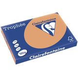 Clairefontaine Trophée Pastel, gekleurd papier, A3, 120 g, 250 vel, mokkabruin