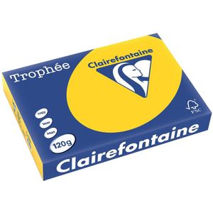 Clairefontaine Trophée Pastel, gekleurd papier, A4, 120 g, 250 vel, goudgeel