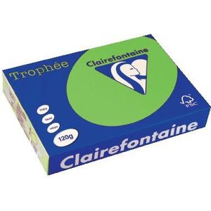 Clairefontaine Trophée Intens, gekleurd papier, A4, 120 g, 250 vel, grasgroen