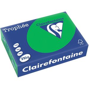 Clairefontaine Trophée Intens, gekleurd papier, A4, 210 g, 250 vel, bijartgroen