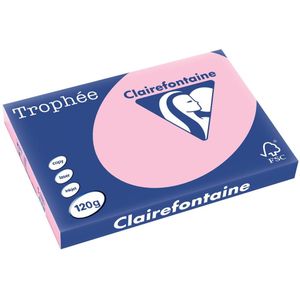 Clairefontaine Trophée Pastel, gekleurd papier, A3, 120 g, 250 vel, roze