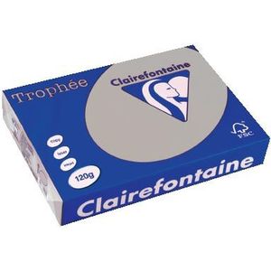 Clairefontaine Trophée Pastel, gekleurd papier, A4, 120 g, 250 vel, lichtgrijs