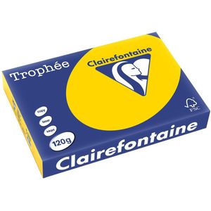 Clairefontaine Trophée Pastel, gekleurd papier, A4, 120 g, 250 vel, goudgeel