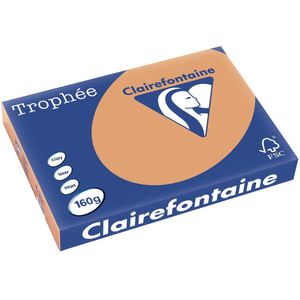 Clairefontaine Trophée Pastel, gekleurd papier, A3, 160 g, 250 vel, mokkabruin