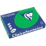 Clairefontaine Trophée Intens, gekleurd papier, A4, 120 g, 250 vel, bijartgroen