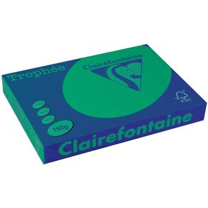 Clairefontaine Trophée Intens, gekleurd papier, A3, 160 g, 250 vel, dennengroen