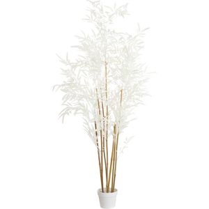 Light&living Ornament in pot 70x60x150 cm BAMBOO naturel+crème