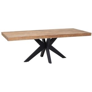DTP Home Dining table Newton rectangular,77x220x100 cm, recycled teakwood