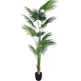 PTMD Tree Green palm 11 leaves in pot