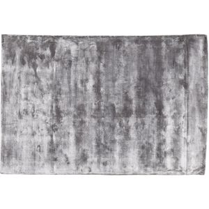 PTMD Flavia Vloerkleed - 200 x 300 cm - Viscose - Grijs