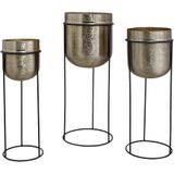 PTMD Brush Gold alu sheet round pot in iron frame SV3