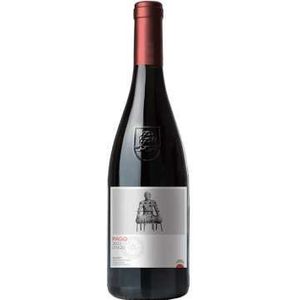 Pago de Otazu Tinto 2022