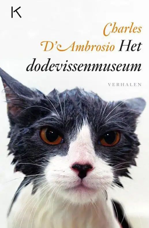 HET DODEVISSENMUSEUM