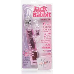 Jack Rabbit Thrusting Orgasm duo vibrator