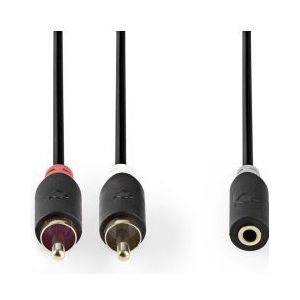 Stereo audiokabel | 2x RCA male - 3,5 mm female | 0,2 m | Antraciet [CABW22255AT02]