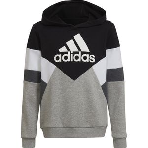 adidas - Colorblock - Sweatshirt - Multicolor - Gedeeltelijk gemaakt van gerecycled materiaal