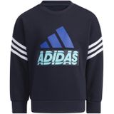 Sweatshirt kind adidas Graphic Crewneck