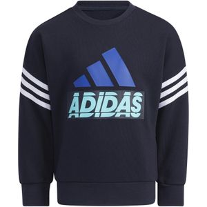 Sweatshirt kind adidas Graphic Crewneck