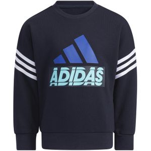 Sweatshirt kind adidas Graphic Crewneck