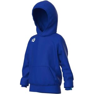 Junior Hoodie Arena Team Panel