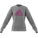 adidas - Essentials - Sweatshirt - Katoen - Groot Logo - Meisje