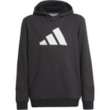 adidas - Future Icons 3-Stripes - Kinder Sweatshirt - Met Capuchon