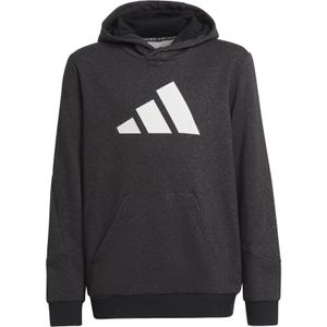 adidas - Future Icons 3-Stripes - Kinder Sweatshirt - Met Capuchon