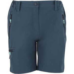 Damesshort Peak Mountain