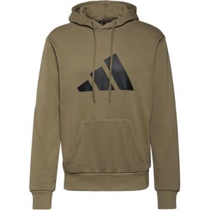 Hooded sweatshirt adidas Sportswear Future Icons Logo Graphic