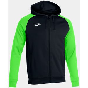 Hooded sweatshirt Joma Academy IV