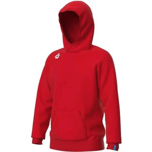 Hoodie Arena Team Panel