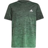 Adidas - A.r. Grad - T-shirt - Groen - Korte Mouwen - Jongens