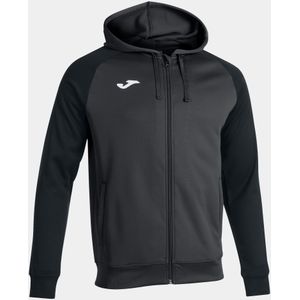 Hooded sweatshirt Joma Academy IV