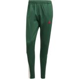 Trainingsbroek adidas House Of Tiro Nations Pack