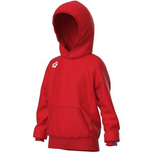 Junior Hoodie Arena Team Panel