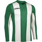 Joma - Pisa - Voetbalshirt - Groen - Lange Mouw