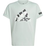 Meisjes-T-shirt adidas Graphic