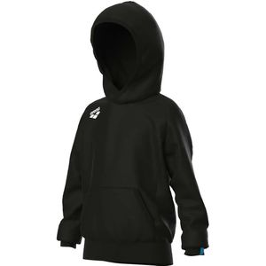 Junior Hoodie Arena Team Panel