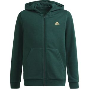 Kinderjas adidas Essentials