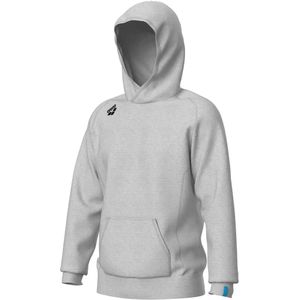 Hoodie Arena Team Panel